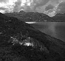 THUMB: Alpen/Grimsel
