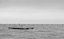 THUMB: Neusiedler See