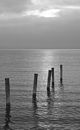 THUMB: Neusiedler See