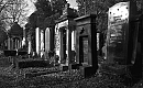 THUMB: Zentralfriedhof