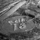 THUMB: Zentralfriedhof